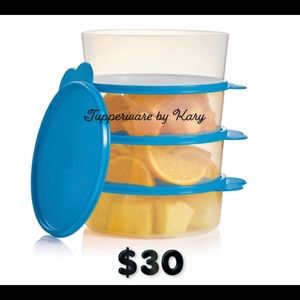 Tupperware Bowls